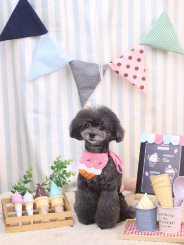 20250507NEROちゃん